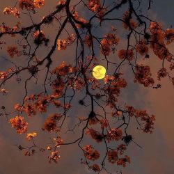 آیا از زندگی بدت میاد