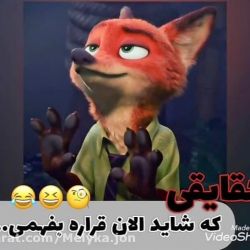 حقیقت های پشم ریزون😮