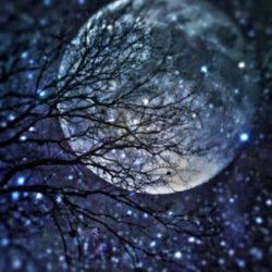 عکس پروفایل هرماه🌙🌟