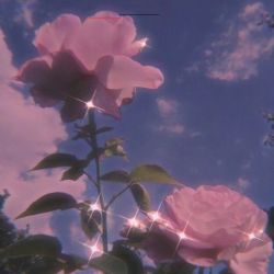 چه نوع فردی هستی ؟