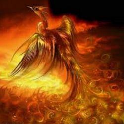 ناشناخته ترین میوه ها