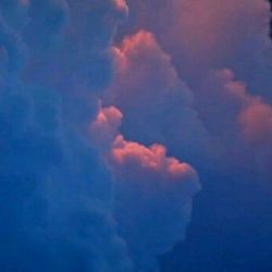 فکت هایی از بی تی اس و بلک پینک