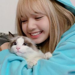 چقدر لیسارو میشناسی