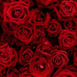 چیزایی که هر دختری باید درباره یک پسر به عنوان عشقش بدونه و رعایتشون کنه💔