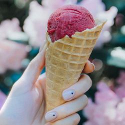 معرفی کتاب طنز