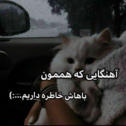 عکس ⊰امکان نداره با این آهنگا خاطره نداشته باشی🦋🎶⊱