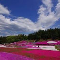 اصطلاحات کاربردی ژاپنی 🇯🇵