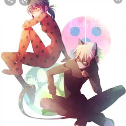 ویژگی ماه ها