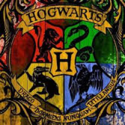 دو راهی واسه پاتر هدا❤