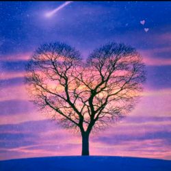 کاردستی ها و نقاشی های ساخت خودم