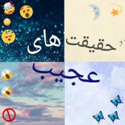 حقیقت های عجیب