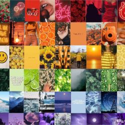 عکس های  رنگین کمونی