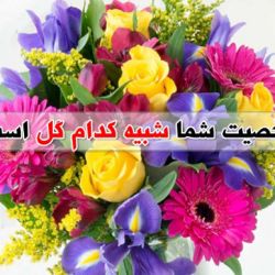 کدام گل هستید؟