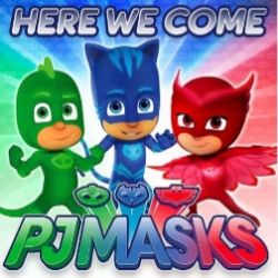 گروه طرفدار های گروه شب نقاب چه گروهیه ؟