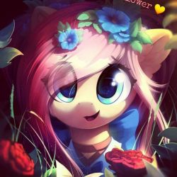 چقدر شبیه فلاتر شایی