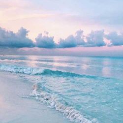 🤍❤حقایقی شگفت انگیز درباره ی دریا وموجودات آن🤍❤