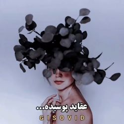کاور