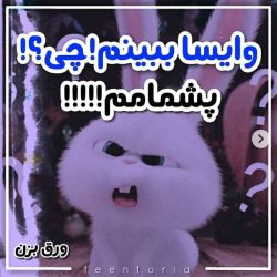 🔵میخوای پشمات بریزه پس بیا