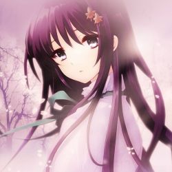 عکس ساکنان جهنم (1)