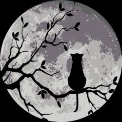 والپیپر 𝔇𝔞𝔯𝔨 🖤