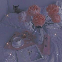 چقدر شبیه منی؟