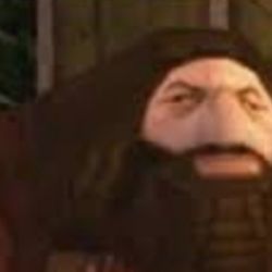 خنده دار ترین عکس های هاگرید