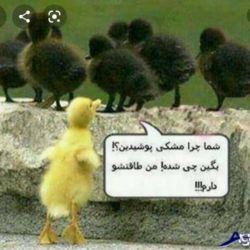 عکس 😂جک های بامزه ۶(عکس و نوشته)😂