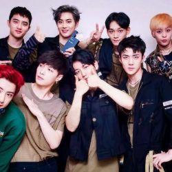 اکسو(شناخت کامل اکسو)