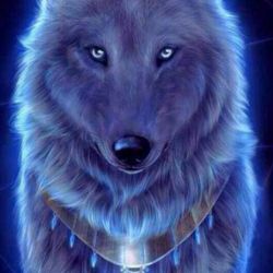 اطلاعات راجب گرگ ها ۲🐺