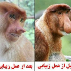 بخند تا دل درد بگیری ۳