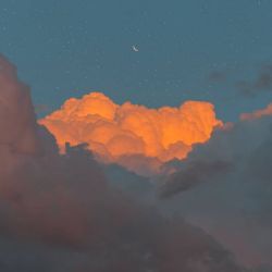 عکس چرا ما انقدر بلک پینک رو میدوستیم😍🤞