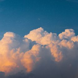 عکس می تونی 5عضو بلک پینک باشی?🍡🍭