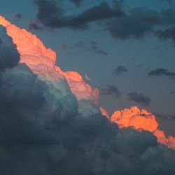 عکس نظر اعضای بلک پینک راجب تو😉🍭