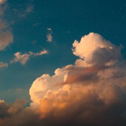 عکس ❤معرفی بلک پینک❤