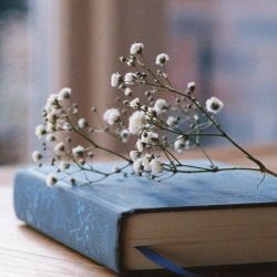 حســ هایــی کـه کـتاب خونا تجـربه میکنن📚✨