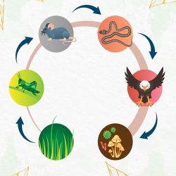 درس آخر علوم چهارم