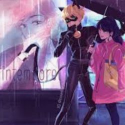 عکس‌های‌مریکتی