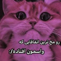 رو مخ ترین اتفاقات😐💔