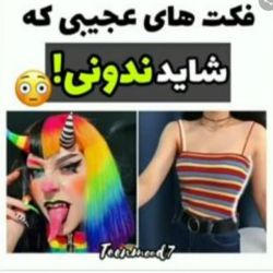 بیا پشمای آهنی ات را ذوب کن و برو ۴