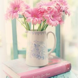 کتابخانه های شگفت انگیز جهان📚