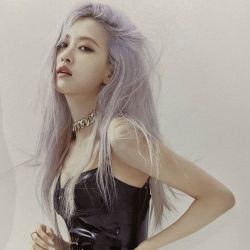 چقدر رزی رو میشناسی ؟