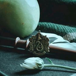 اسلیترینی💚 هستی اگه...