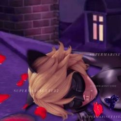 عکس عکس های کیوت کت نوار