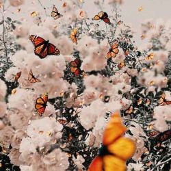 انسان خوبی هستی اگه.....