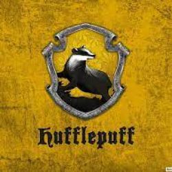 عکس ❤Hufflepuff