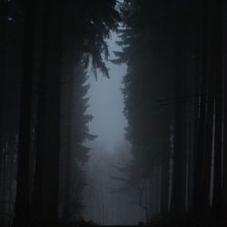 عکس سریالایی که هر کی درامری باید ببینه از نظر من😌