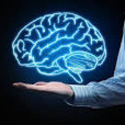 عکس تست هوش🤠