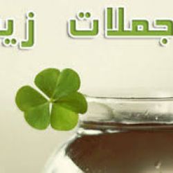 حرف های دانشمندان🤔🤔