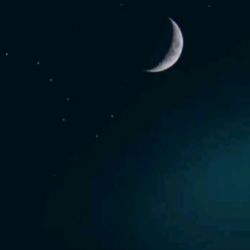 عکس ترسناک ترین شب 1