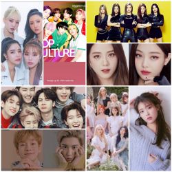 چه چیزایی از کیپاپرا یاد گرفتیم؟!